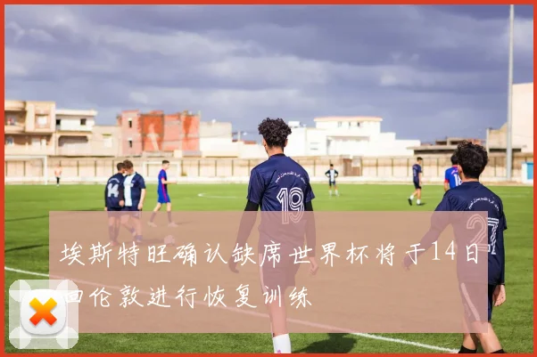 埃斯特旺确认缺席世界杯将于14日回伦敦进行恢复训练