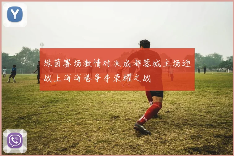 绿茵赛场激情对决成都蓉城主场迎战上海海港争夺荣耀之战