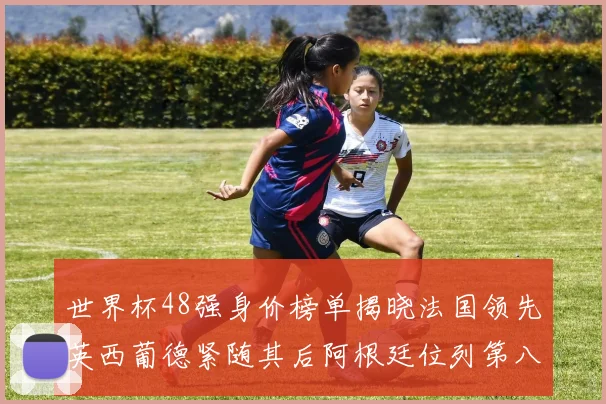世界杯48强身价榜单揭晓法国领先英西葡德紧随其后阿根廷位列第八